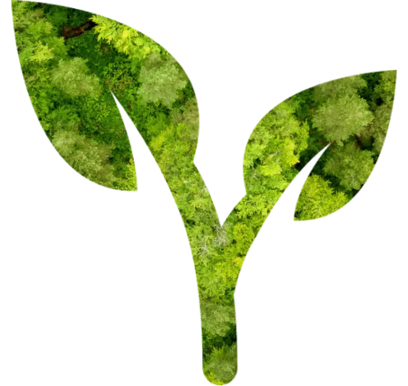 Equipe Kato Ambiental